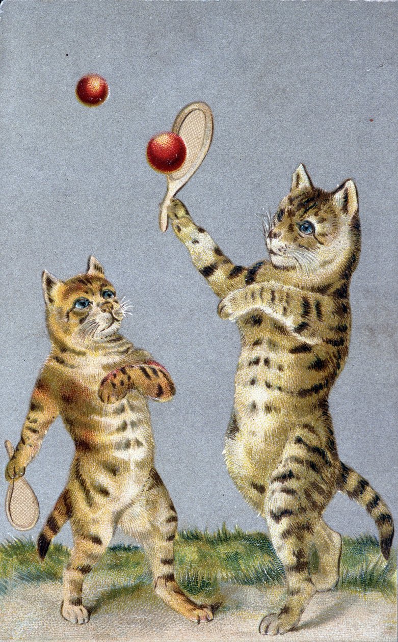 Katte, der spiller tennis - postkort tidligt i det 20. århundrede. af French School