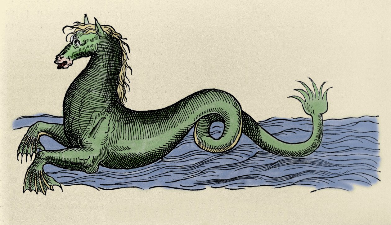 Cheval marin i ""The Aquatilibus"" af French School