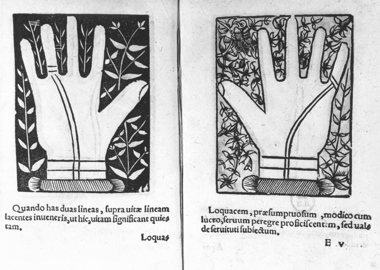 Chiromantic Hands, illustration fra Chiromatiae Principiis ... Anastasis af Bartolommeo della Rocca (Cocles) 1467-1504) 1555 af French School