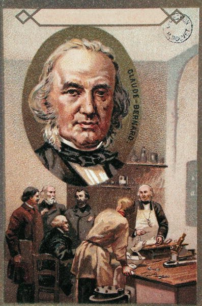 Claude Bernard (1813-78) (chromolitho) af French School