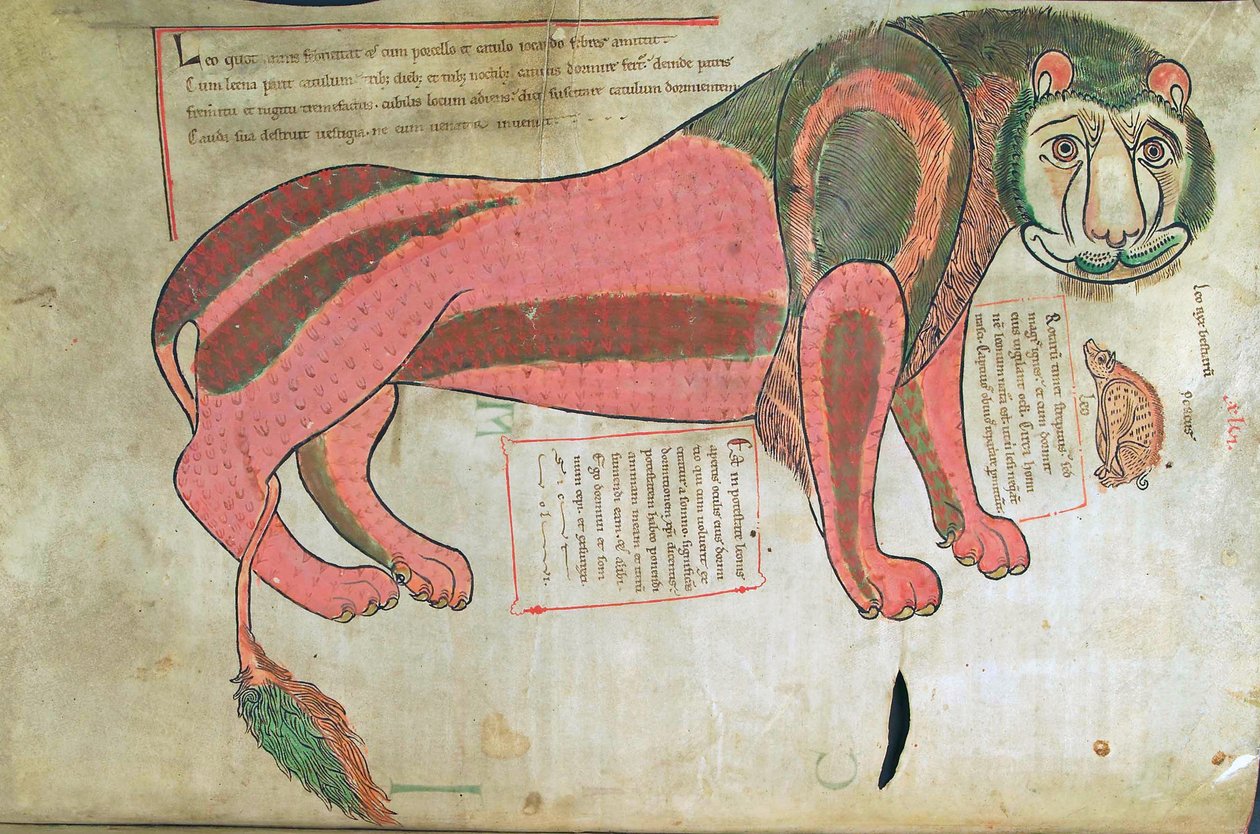 Torsk. Gulf. 1 Gud. lat. (37v), Løven og svinet, fra Liber Floridus af Lambert de Saint-Omer c.1120 af French School