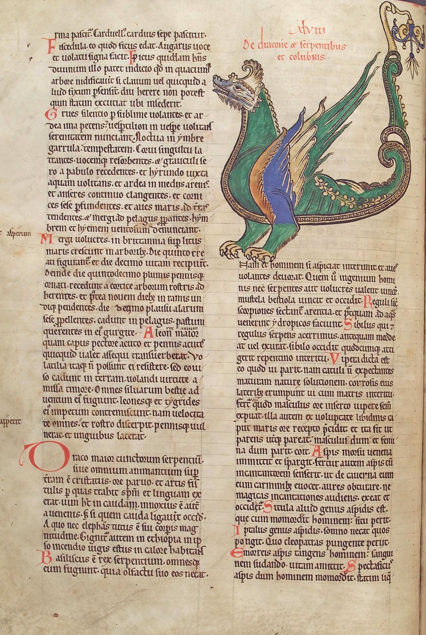 Torsk. Gulf. 1 Gud. lat. 40v, tekst med illustration af en drage, fra Liber Floridus af Lambert de Saint-Omer c.1120 af French School