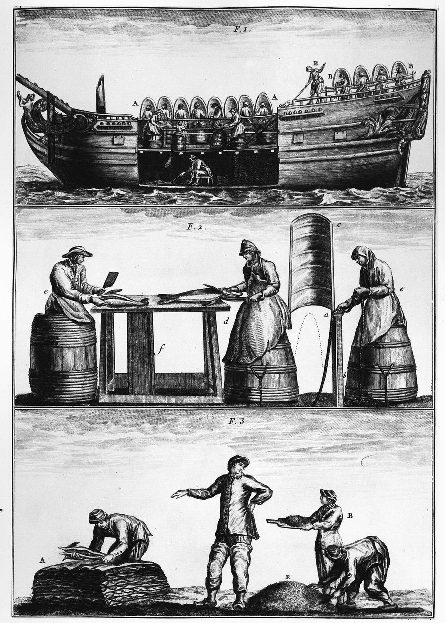 Torskefiskeri: lastning, udskæring og saltning af fisk - i "General Treatise on Fisheries" af Duhamel du Monceau af French School