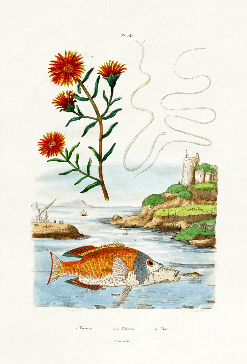 Coppers Hardy Ice Plant, 1833-39 af French School
