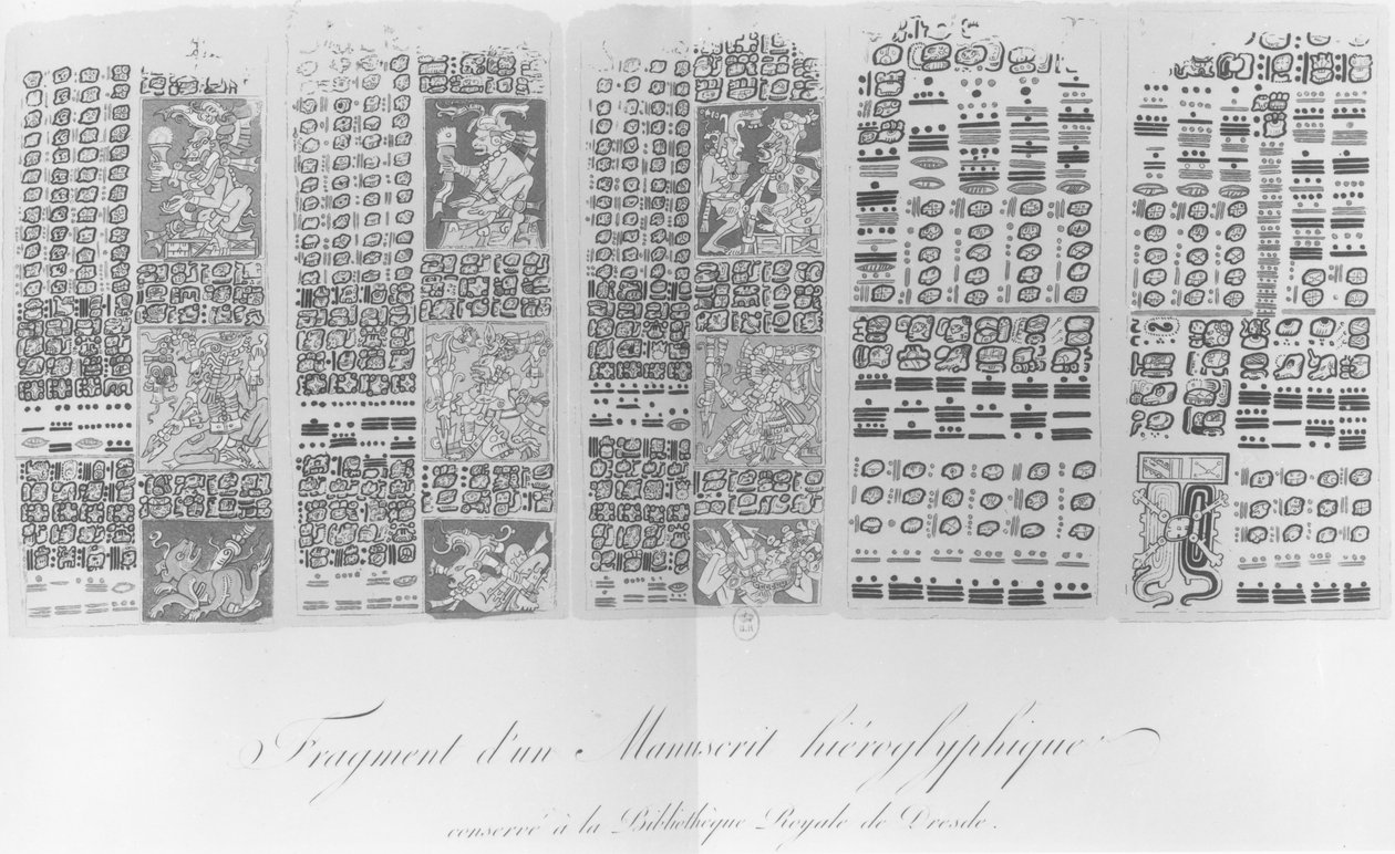 Kopi af et fragment af et Maya-manuskript, der viser astronomiske tabeller med formørkelser af French School