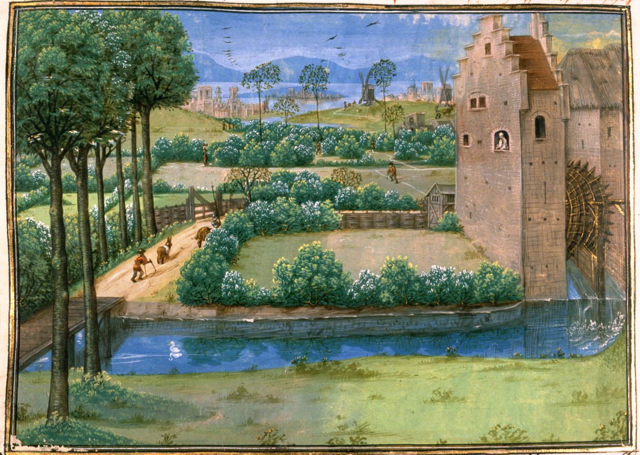 Cott Aug A V f.345v Flamsk landskab med en vandmølle i forgrunden og en vindmølle i baggrunden, fra 