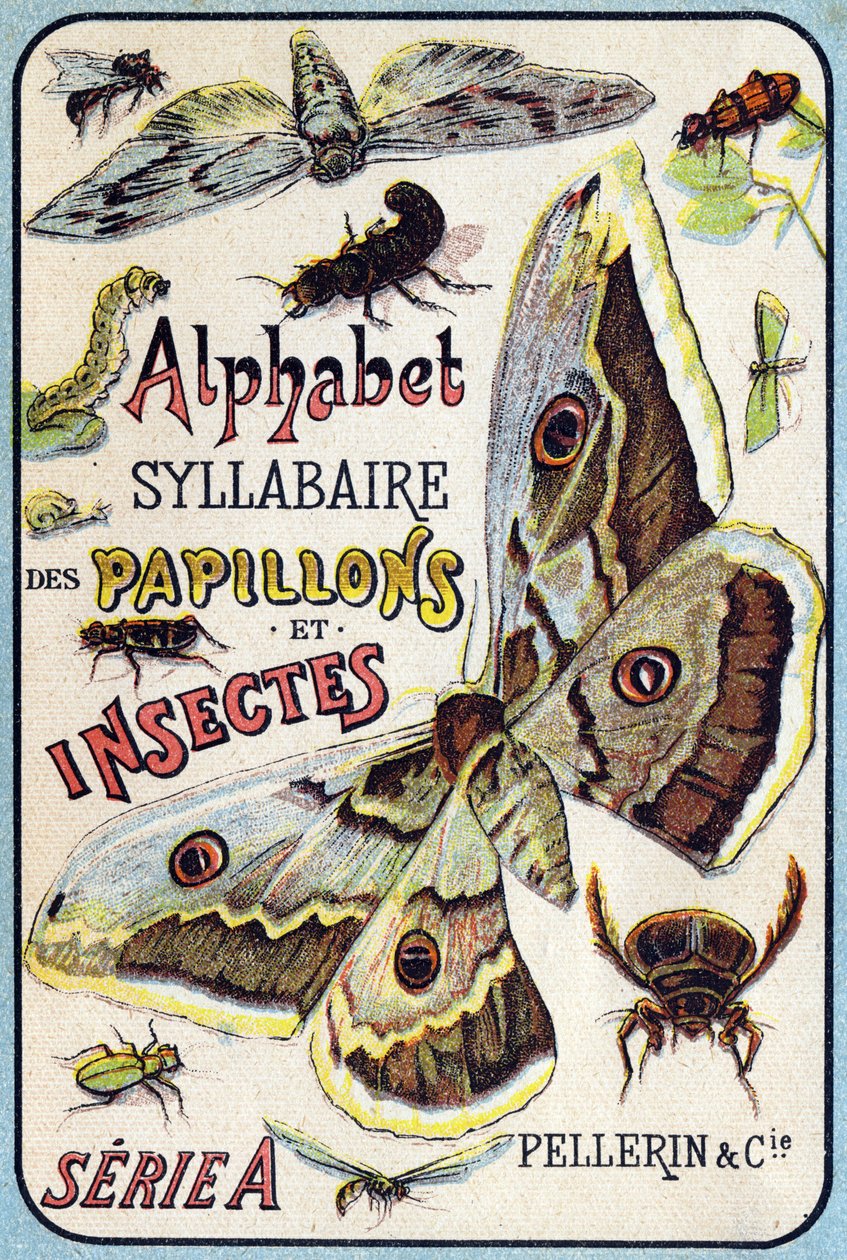 Omslag til "Syllabary alfabet af sommerfugle og insekter"". Serie A. Pellerin et Cie, trykkerier-forlag, Epinal, slutningen af det 19. århundrede. Kromolitografier. Lille 8-siders reklamealbum indeholdende et pensum og et billedsprog ledsaget af beskrivend af French School