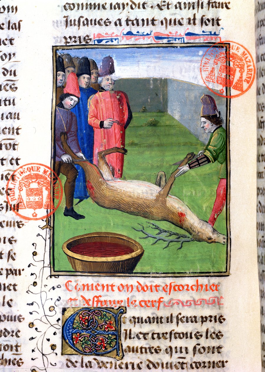 Skæring af benene på en død kronhjort, fra Livre de la Chasse af Gaston Phebus de Foix (1331-91) af French School