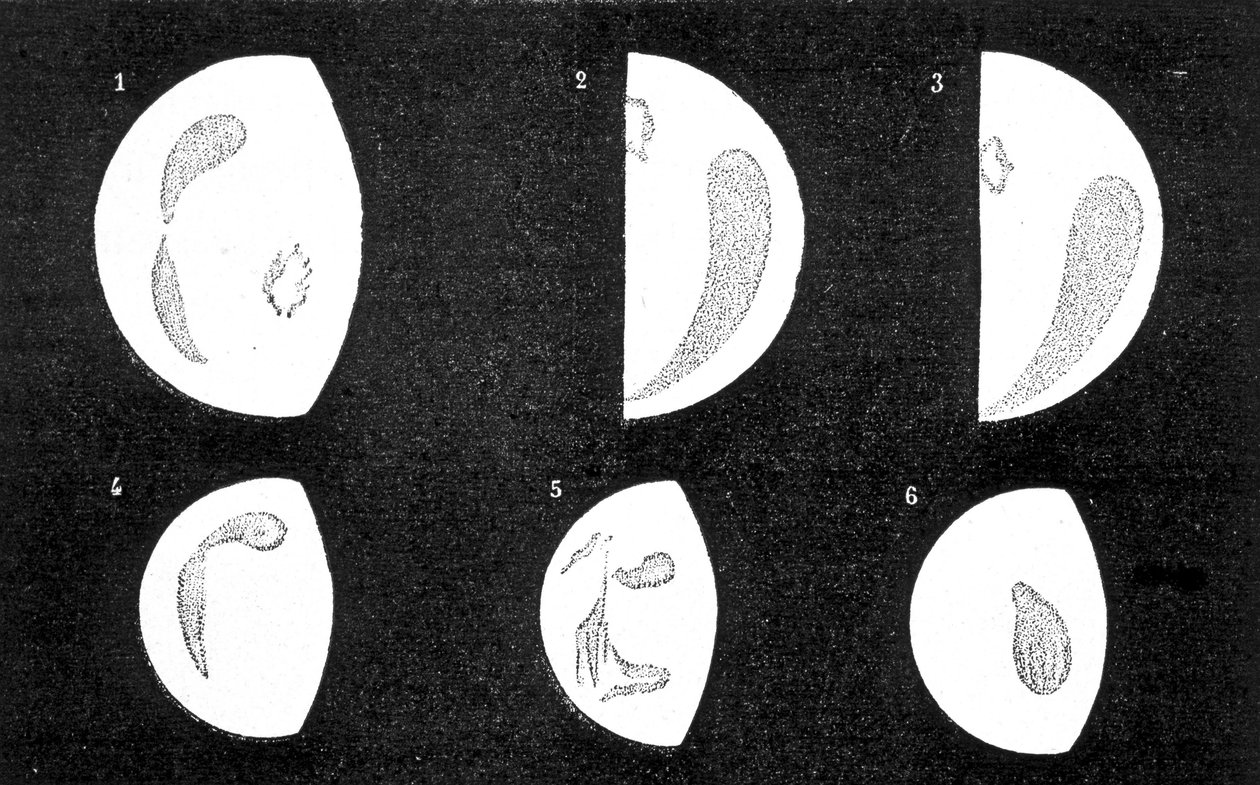 Mørke pletter og lyse pletter af Venus; 1, 2, 3, pletter observeret af D. Cassini i 1667 og 1667; 4, 5, 6, pletter observeret af M. Langdon i 1871 - i "" Le Ciel" af Amédée Guillemin af French School