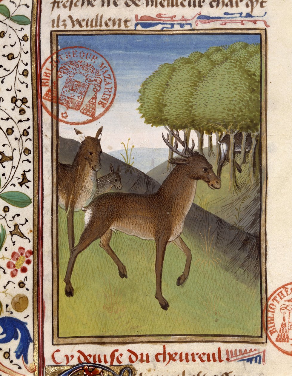 Hjorte og hjorte - i "Jagtbogen af Gaston Phoebus, greve af Foix, herre af Béarn" af French School
