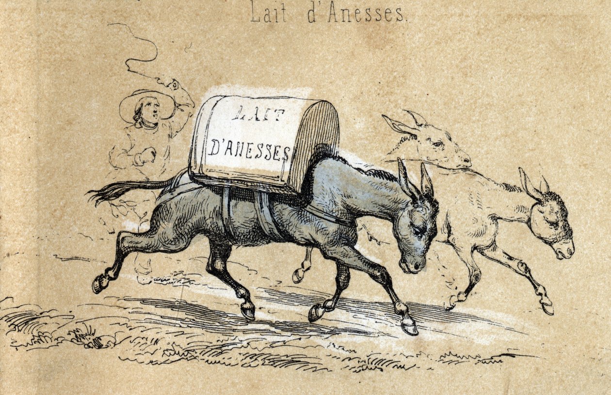 Beskrivelse af de forskellige produkter og anvendelser af æsel: æsler med masser af danesses mælk. Detalje af tavlen "" Æslet og dets produkter"" i "" Les Recreations instructives"" Synoptisk maleri af Jules DELBRUCK, gravering fra 1860. Privat af French School