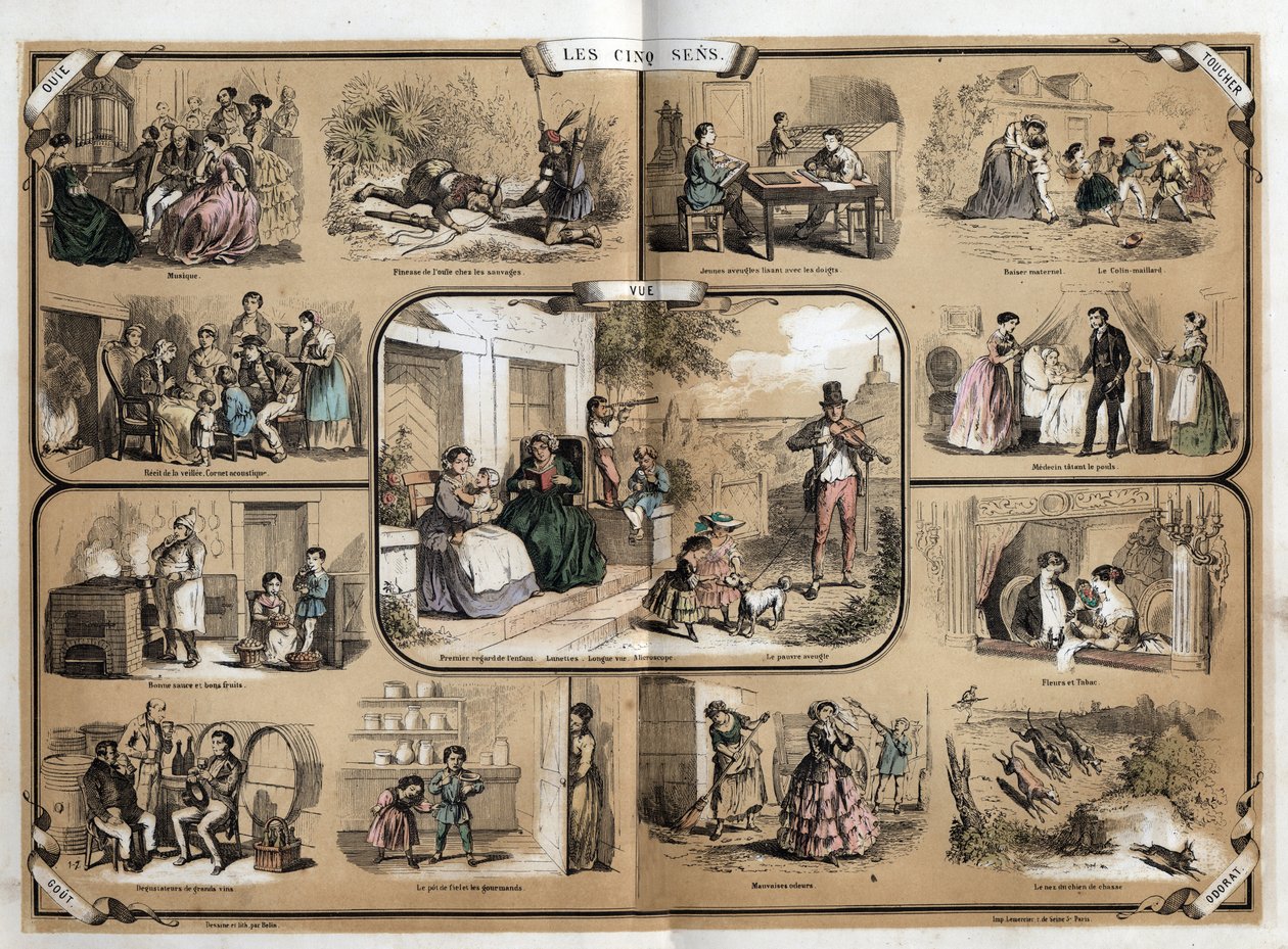 Beskrivelse af de fem sanser: syn, fra venstre mod højre og fra top til bund, hørelse, berøring, lugt og smag. Tavle "" Les cinq sens"" i "" les Recreations instructives"" Synoptisk maleri af Jules Delbruck, stik fra 1860. Privat samling. af French School