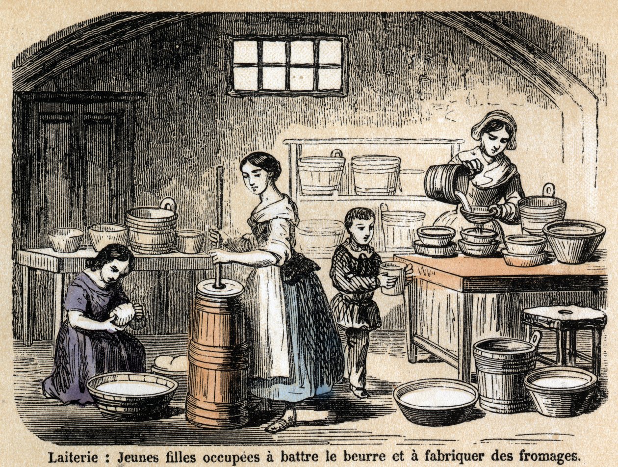 Beskrivelse af de forskellige jobs og fåreprodukter: unge mælkeproducenter, der laver smør og oste på et mejeri. Tavle "" Les Moutons"" i "" les Recreations instructives"" Synoptisk maleri af Jules DELBRUCK, gravering fra 1860. Privat samling. af French School