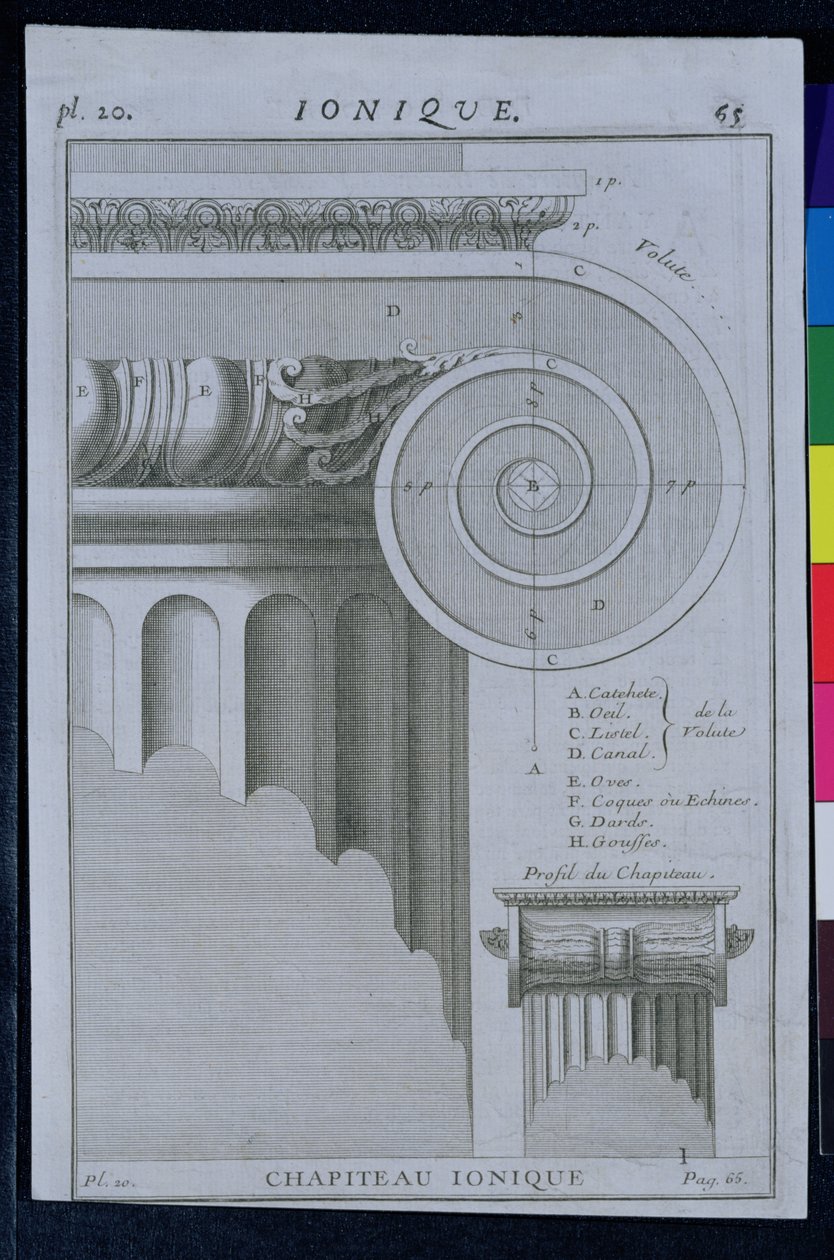 Design til hovedstaden i en ionisk søjle af French School
