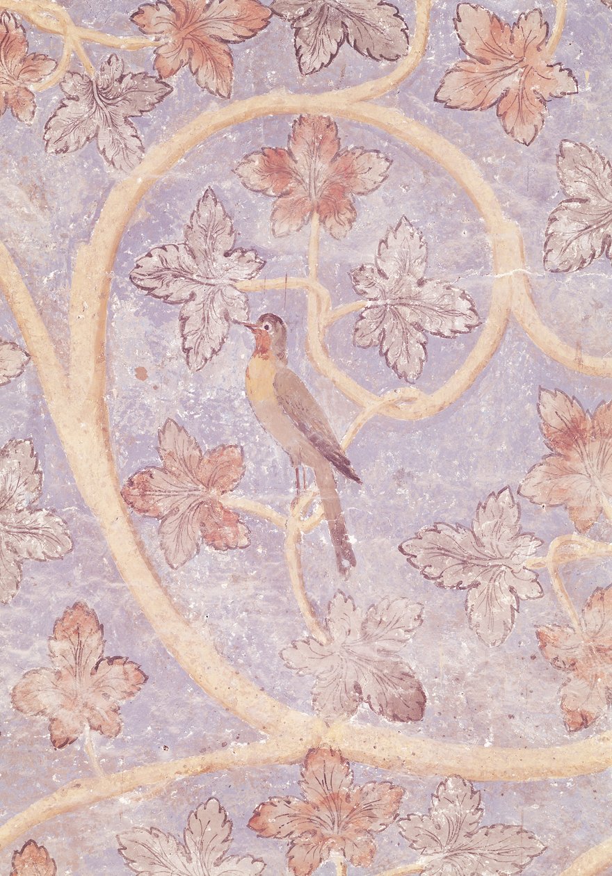 Detalje af en fugl, fra vægdekorationen i pavens soveværelse, ca. 1334-62 (se også 154784) af French School
