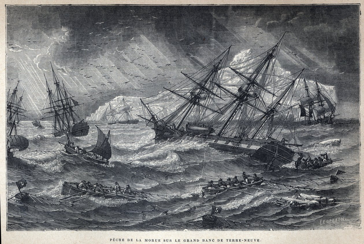 Opdaget Canada: Torskefiskeri på Grand Bank of Newfoundland, Newfoundland. Indgravering fra slutningen af det 19. århundrede i "La nouvelle France" af Eugene Guenin. af French School