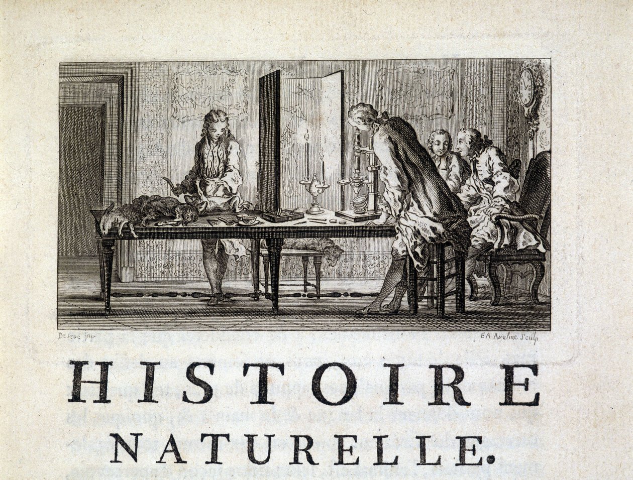 Dissektion af dyr - i "" Naturlig, generel og særlig historie"" af Buffon af French School