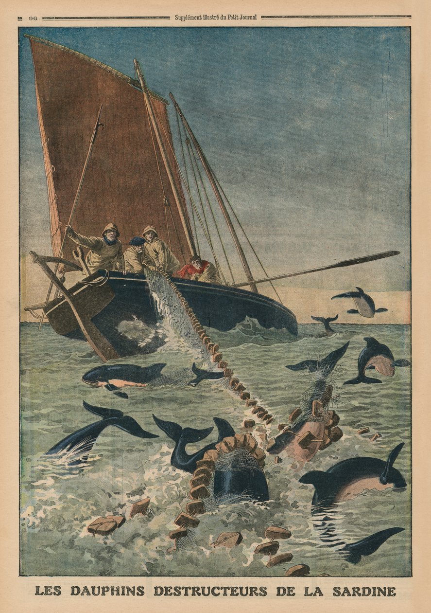 Delfiner, der ødelægger sardiner, forsideillustration fra 