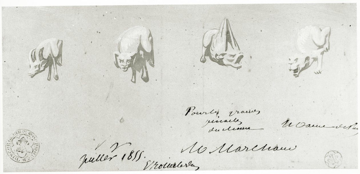 Tegning til restaurering af gargoylerne i Notre Dame, 1855 af French School