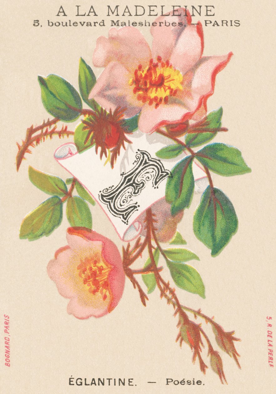 E: Eglantine - Poesi af French School