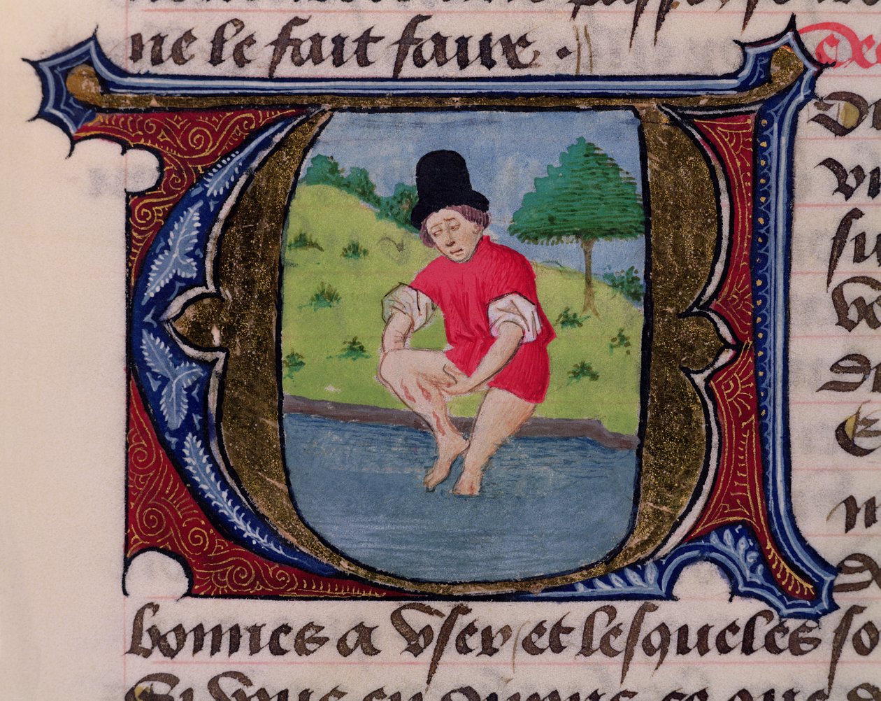F.27v Udvaskning, fra Traite de Medecine af Hildebrand dr. Florence, 1356 af French School