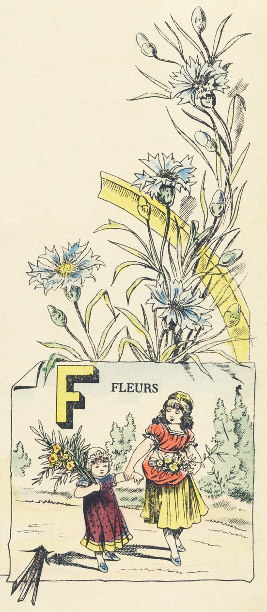 F: blomster af French School