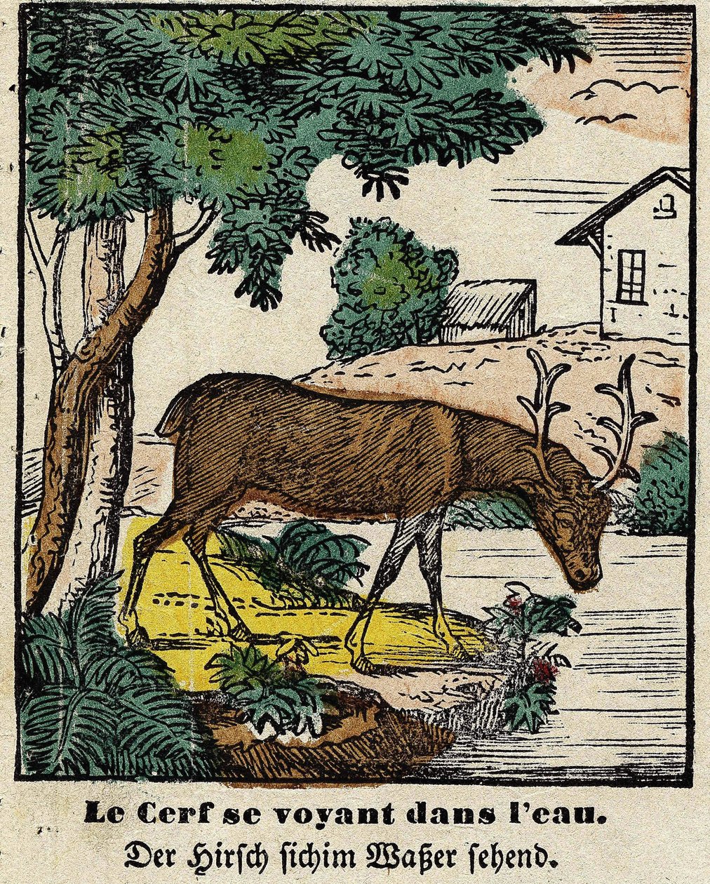 Fables de La Fontaine: hjortene ser sig selv i vandet. Billede af Epinal, første halvdel af det 19. århundrede af French School
