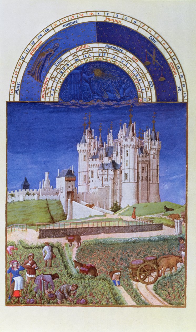 Faksimile af september: høst af druer af brødrene Limbourg, fra Tres Riches Heures du Duc de Berry (for original se 8441) af French School