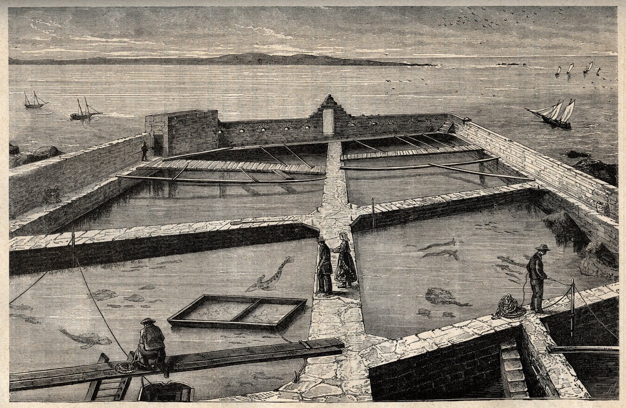 Fiskeopdræt i Concarneau - Bretagne - Establishment de pisciculture - Concarneau - Finistere - Bretagne - gravering i "" PATRIE" - BILLEDEKRAV BESKRIVELSE AF FRANKRIG I 6 BIND AF LUCIEN HUARD - slutningen af ​​1800-tallet af French School