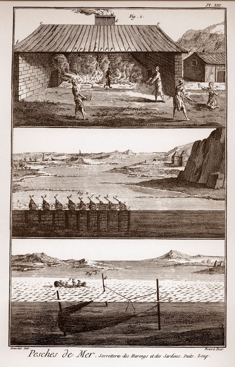 Fiskeri, sild og sardiner - Peches de Mer - Sorretterie des herring et des sardines - "" La Grande Encyclopédie, ou Dictionnaire Raisonne des Sciences, des Arts et des Metiers"" (Encyclopedia or Dictionary of the Sciences, Arts and Professions) af Deni af French School