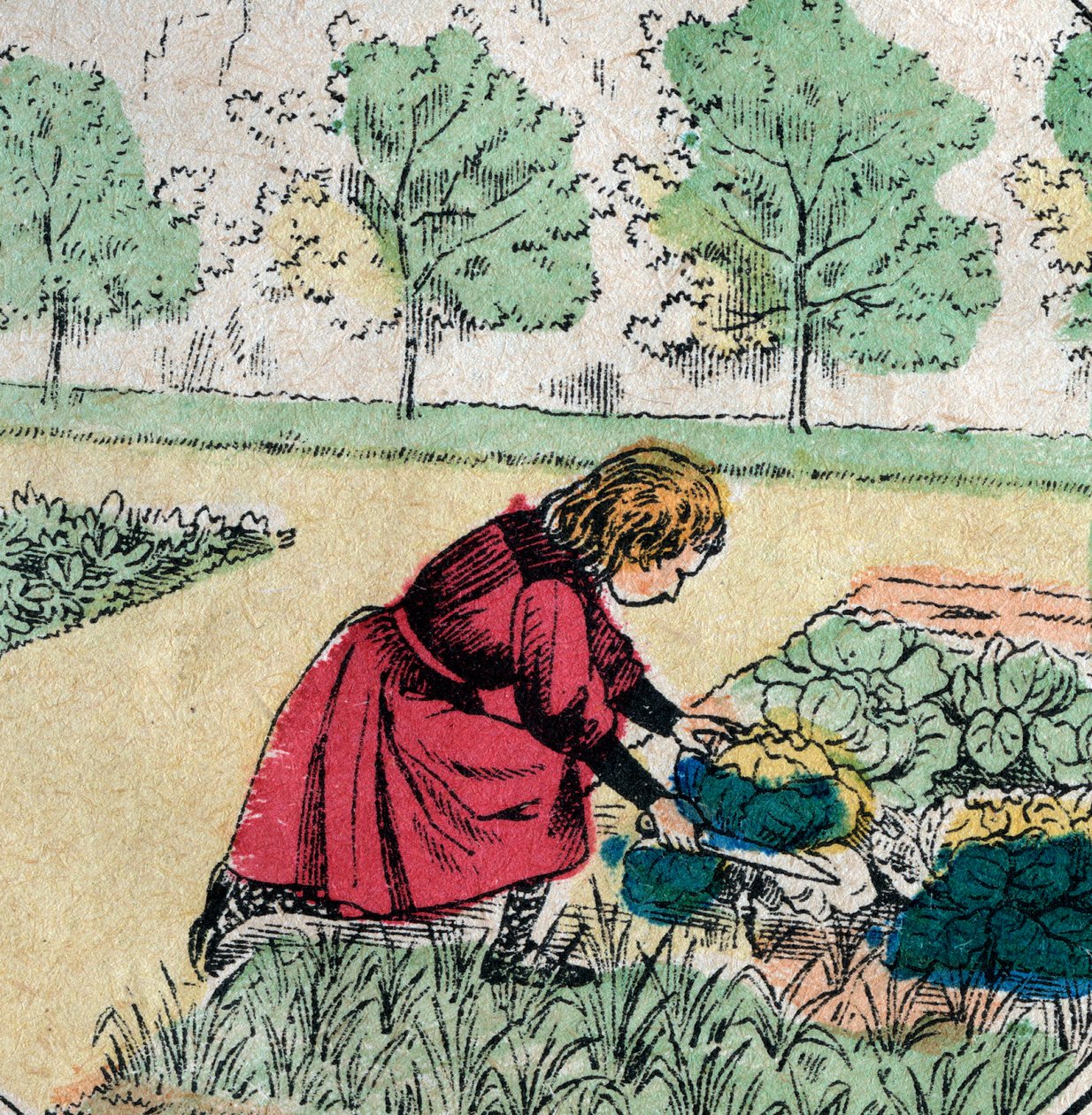 Fransk tro: En lille pige, der tror, at babyer er født i kål eller roser, skærer spirerne af en køkkenhave - Epinalbillede - 1800-tallet (gravering) af French School