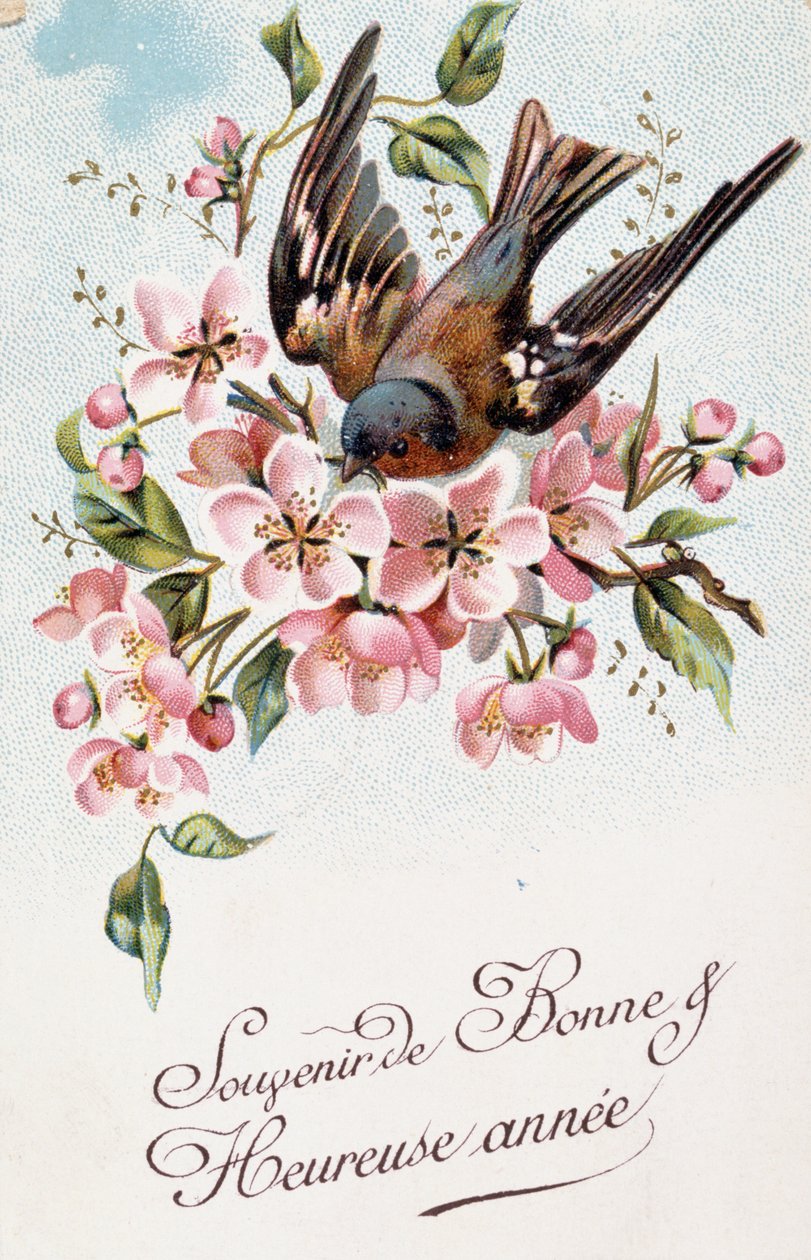 Fransk nytårspostkort med blomster og en fugl af French School