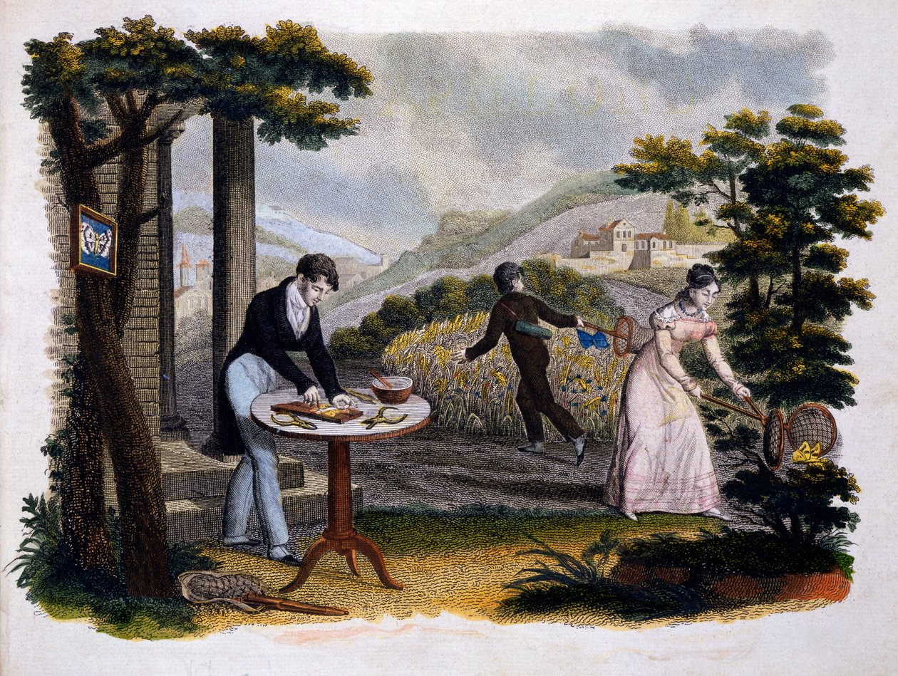 Frontispice fra Les Papillons... af Eugene Balland (1796-c.1850), udgivet af P. Blanchard, Lecerf, Paris, 1823 (farvegravering) af French School