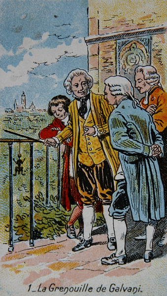 Galvanis frø, illustration fra en række kort på 
