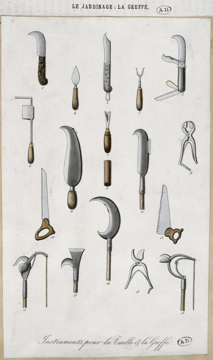 Haveredskaber til podning og beskæring (farvegravering) af French School