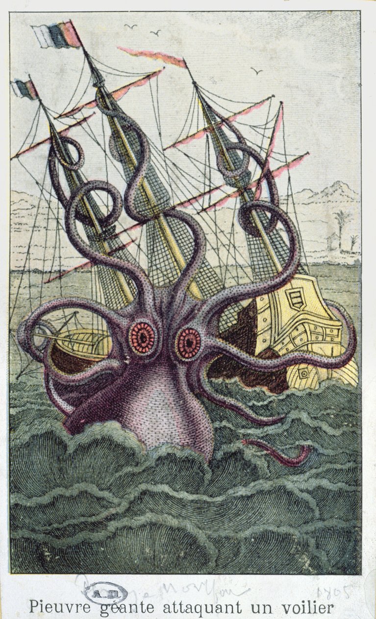 Giant Octopus, illustration fra General and Special Natural History of Molluscs af Denys-Montfort, ca. 1802-03 af French School