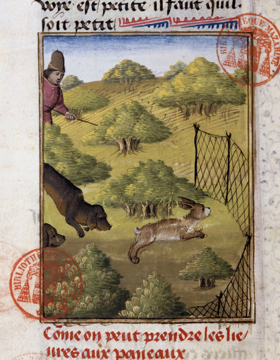 Hare Jagt - i "" Jagtbog af Gaston Phoebus, greve af Foix, Lord of Béarn"" af French School