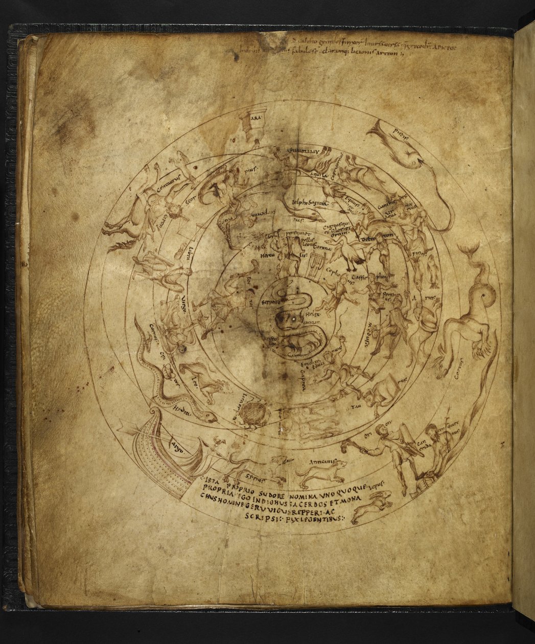 Harley 647 f.21v Diagram over den nordlige og sydlige halvkugle, fra 