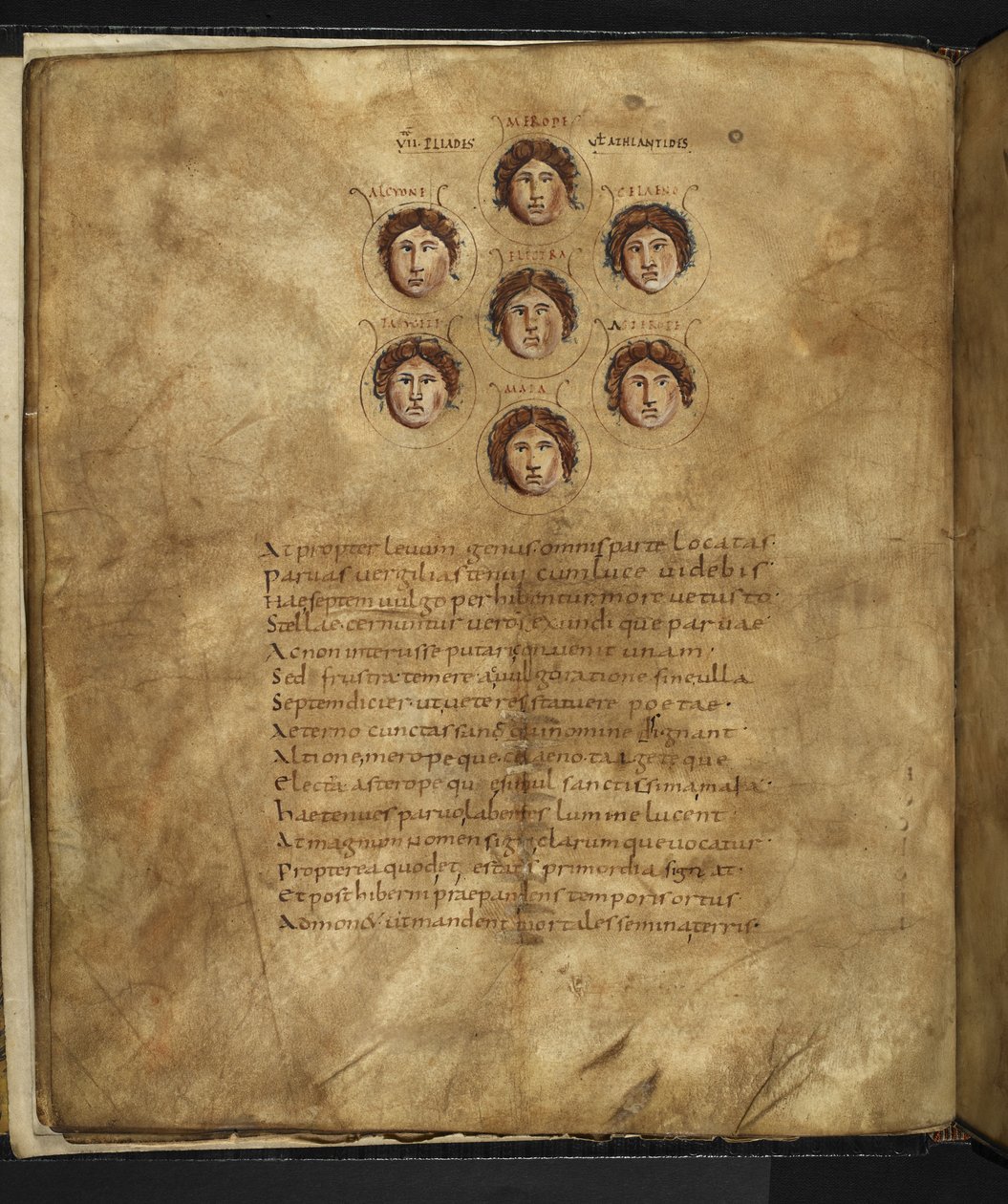 Harley 647, f.4v Illustration af Plejadernes ansigter, syv søstre, der levede i himlen som stjerner, med deres navne indskrevet omkring dem, fra 