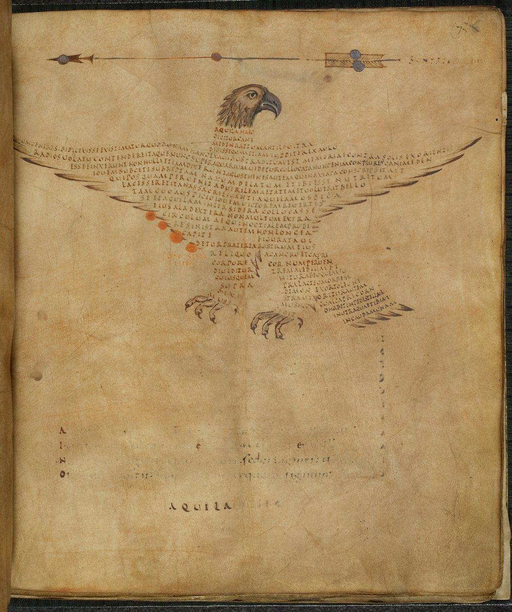Harley 647, f.7 Illustration af stjernebilledet 