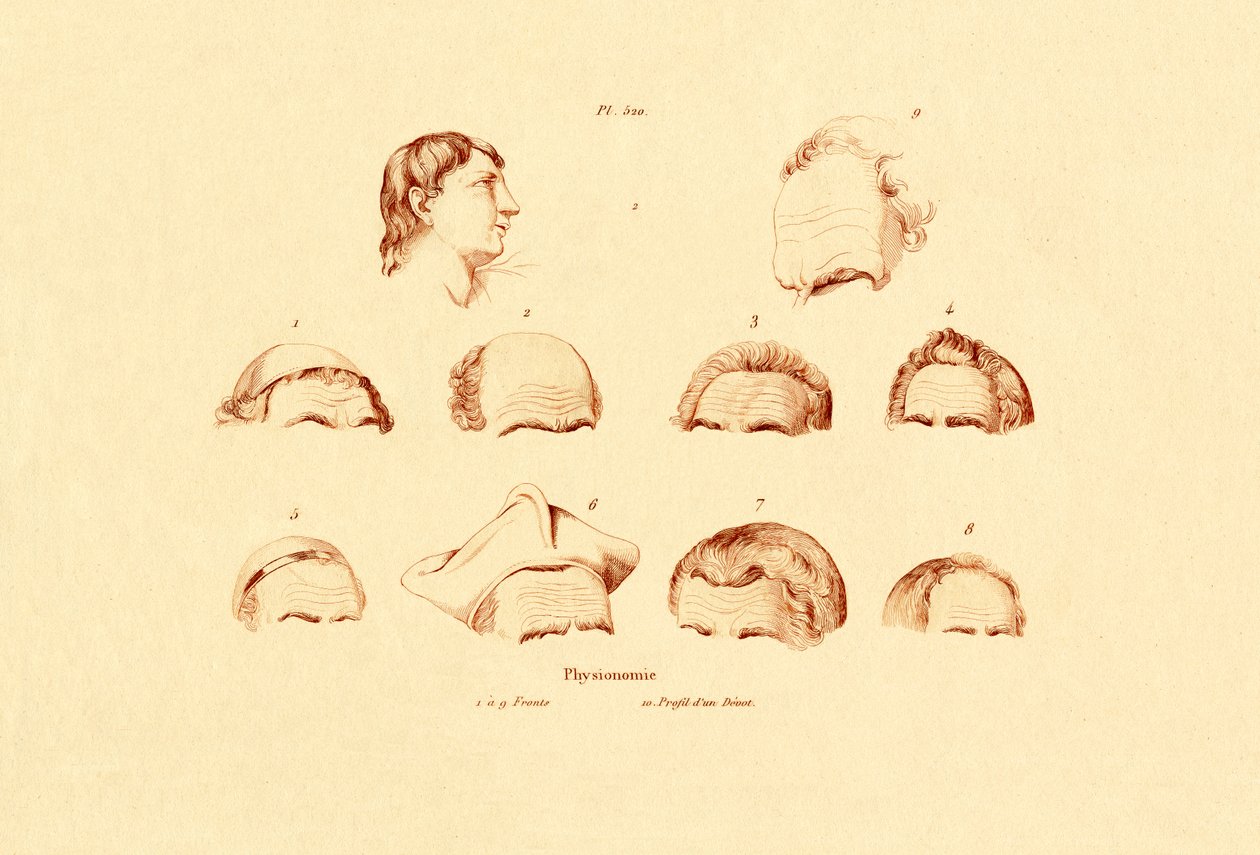 Hoveder, 1833-39 af French School