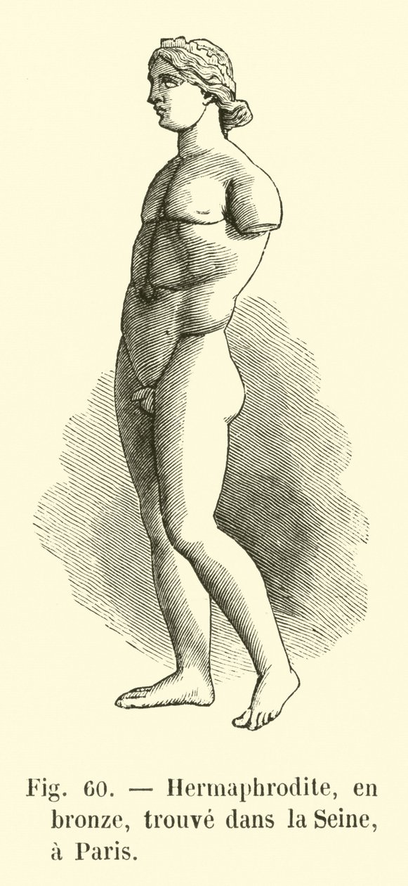 Hermafrodit, i bronze, fundet i Seinen, Paris (gravering) af French School