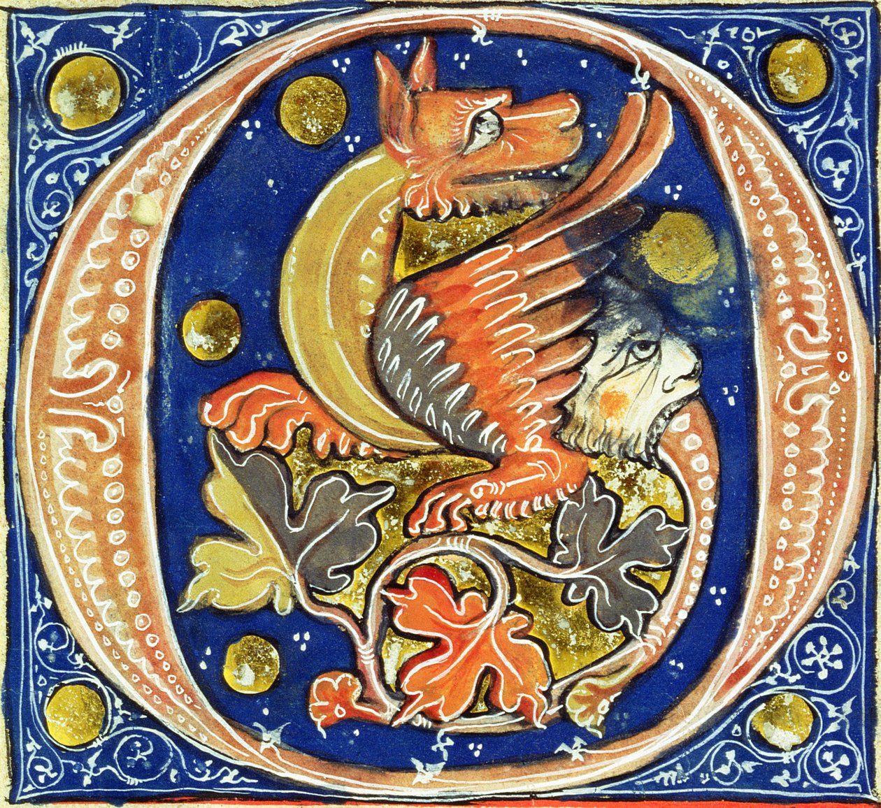 Historik initial O, der viser en bevinget griffin af French School