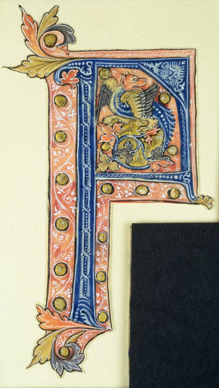 Historikert initial P, der viser en bevinget griffin af French School