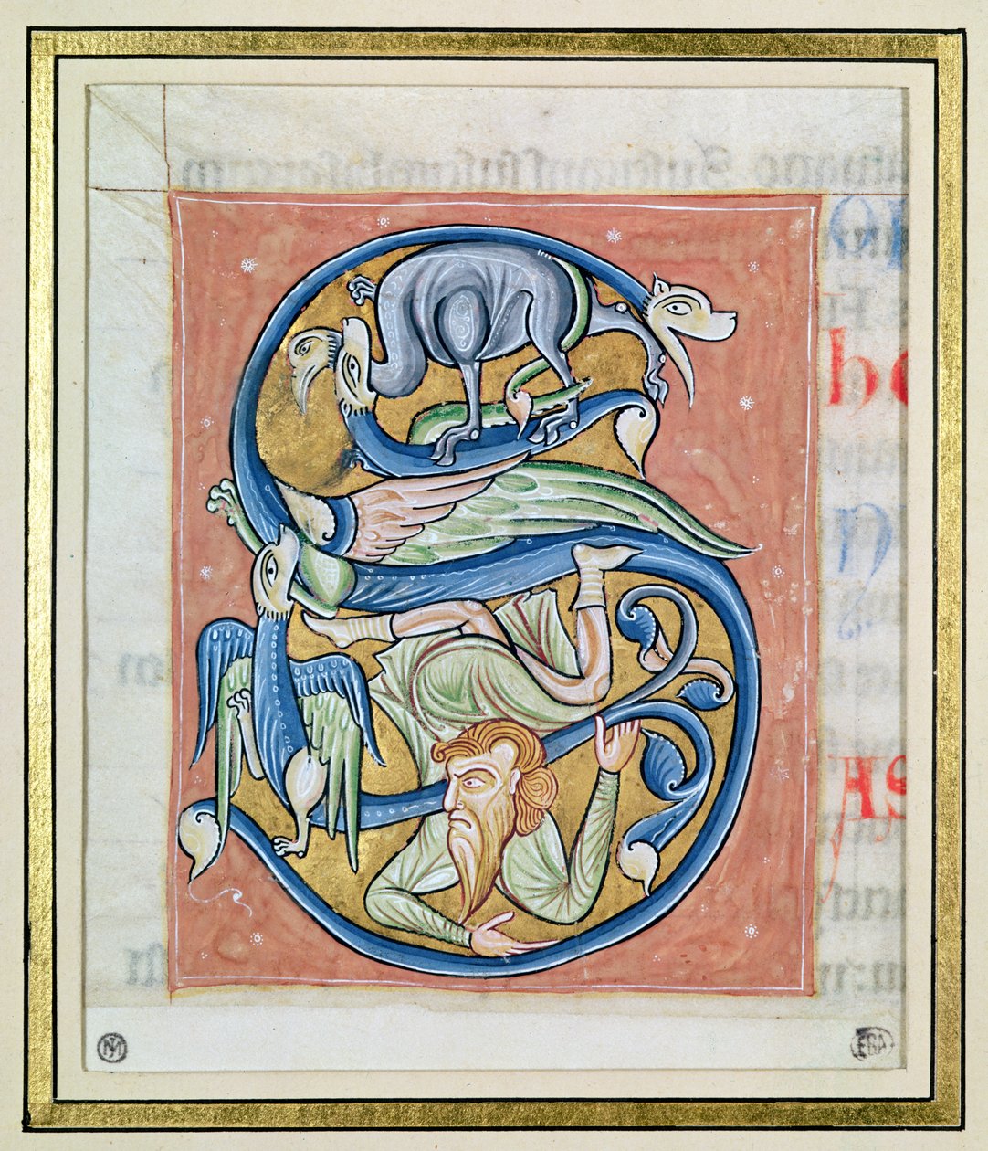 Historieret bogstav "S" med en akrobat og fantasidyr, fra Bibelen fra Saint-Andre aux-Bois (pergament) af French School