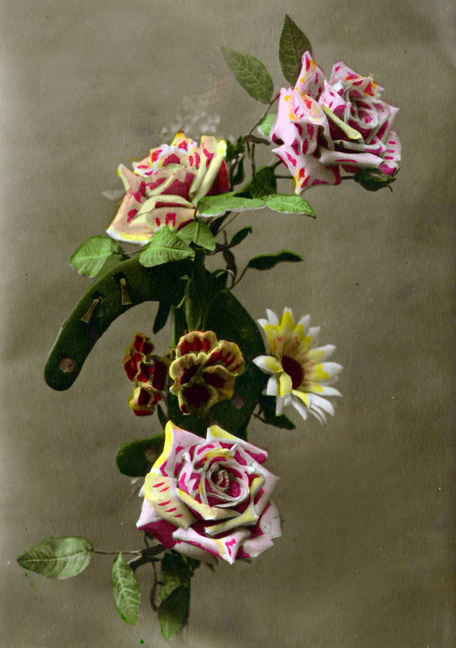 Hestesko og blomster ca. 1898 (håndfarvet foto) af French School