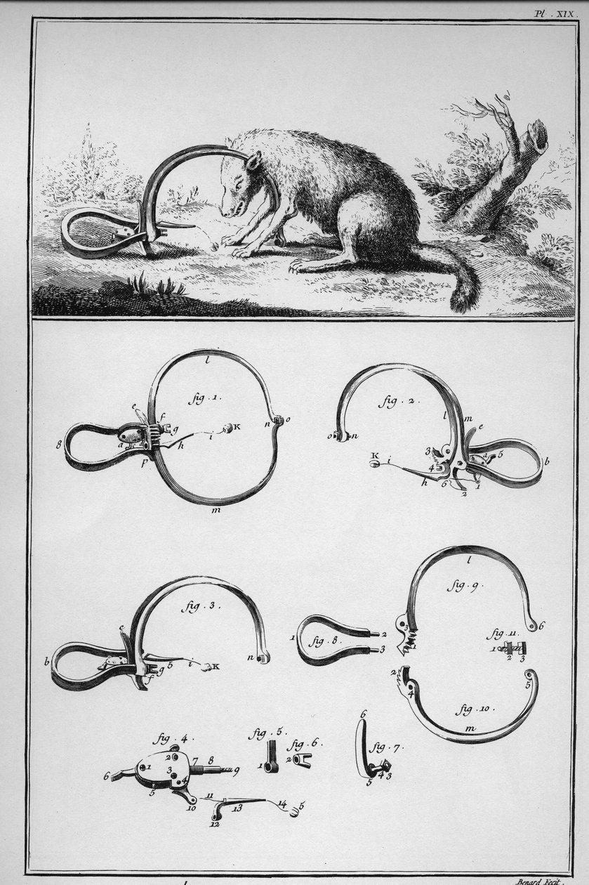 Jagt - ræv fanget ved sporet (Piege) - "" The Great Encyclopedie, ou Dictionnaire Raisonne des Sciences, des Arts et des Metiers"" (Encyclopedia or Dictionary of the Sciences, Arts and Professions) af Denis Diderot (1713-1784) og Jean d