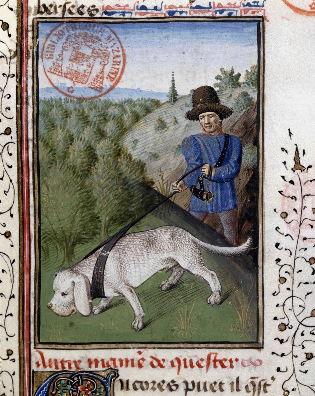 Jagthund holdt i en flirtende snor - i "" Jagtbog af Gaston Phoebus, greve af Foix, Lord of Béarn"" af French School