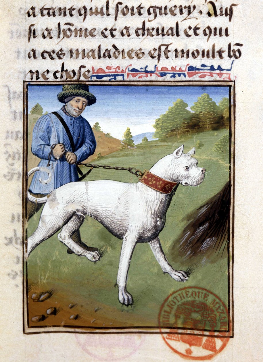Jagthund holdt i snor - i "" Jagtbog af Gaston Phoebus, greve af Foix, Lord of Béarn"" af French School