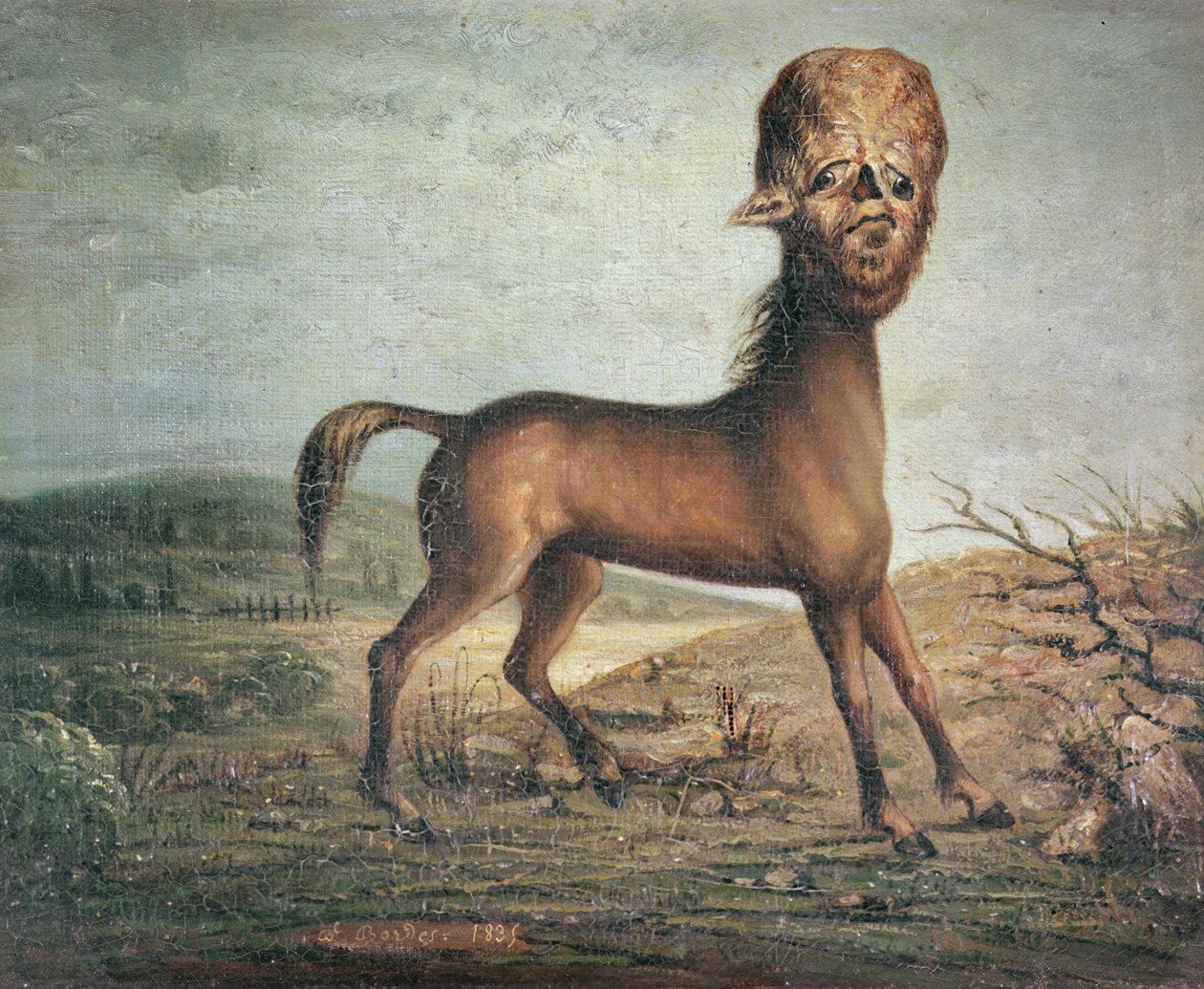Hydrocephalic Hoppe, født 21. Januar 1821, 1835 af French School